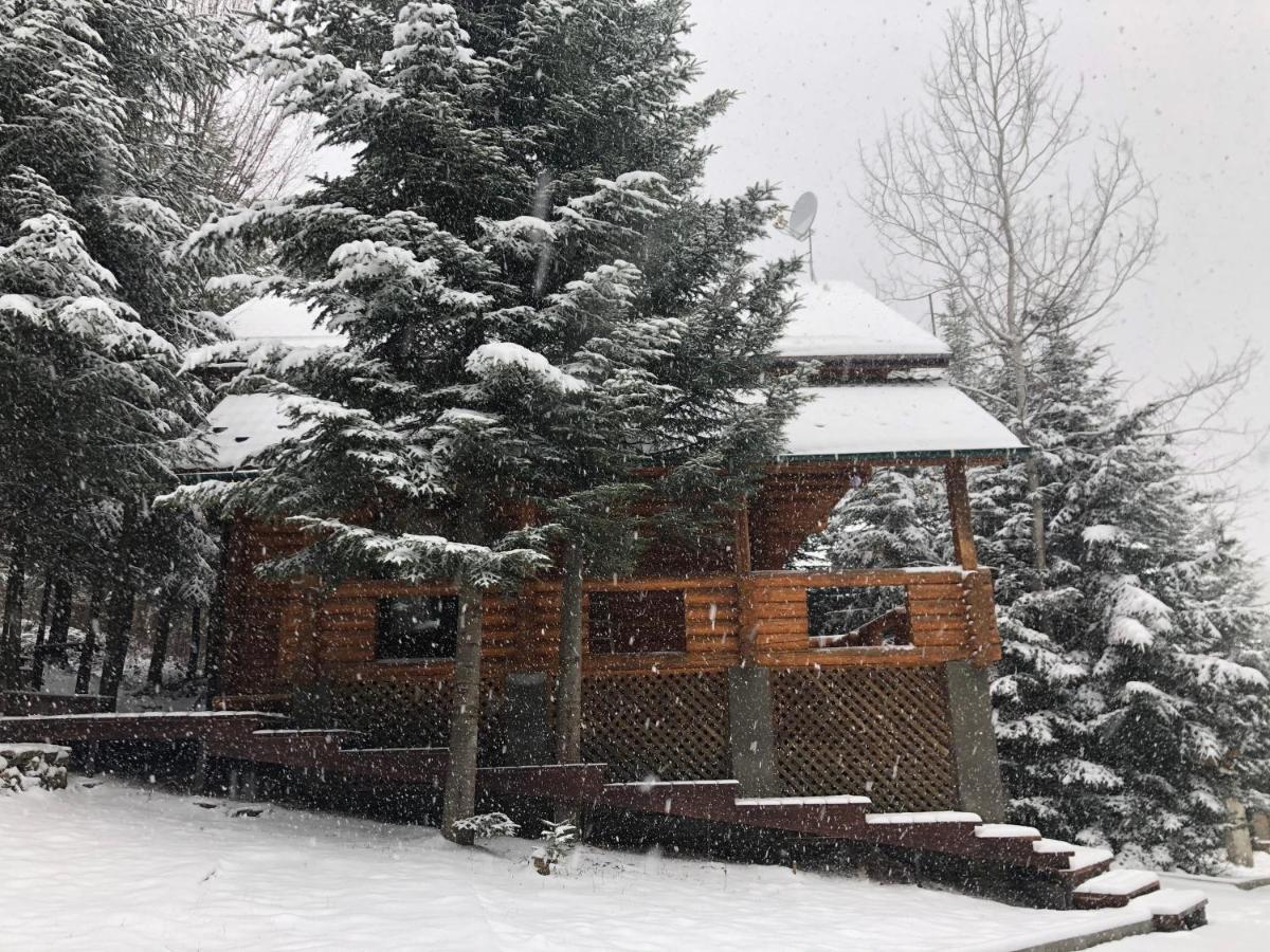 Коттедж Luky Migovo Exterior photo